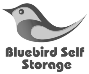 https://www.spkac.ab.ca/wp-content/uploads/sites/3239/2025/07/bluebird-storage-BW-300x250.png